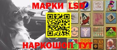 прущие грибы Пенза