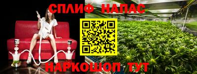 прущие грибы Пенза