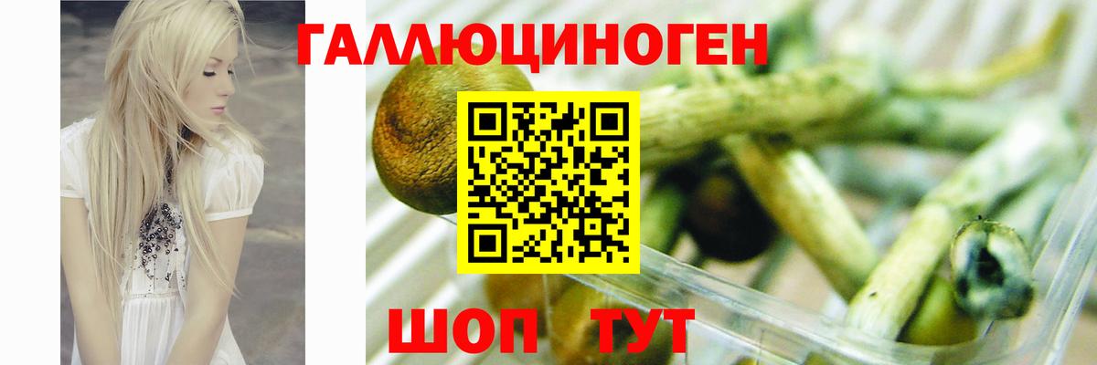Галлюциногенные грибы MAGIC MUSHROOMS  Вход с VPN  Галлюциногенные грибы MAGIC MUSHROOMS  Озёрск 
