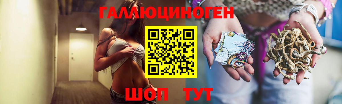 Галлюциногенные грибы Psilocybe Озёрск